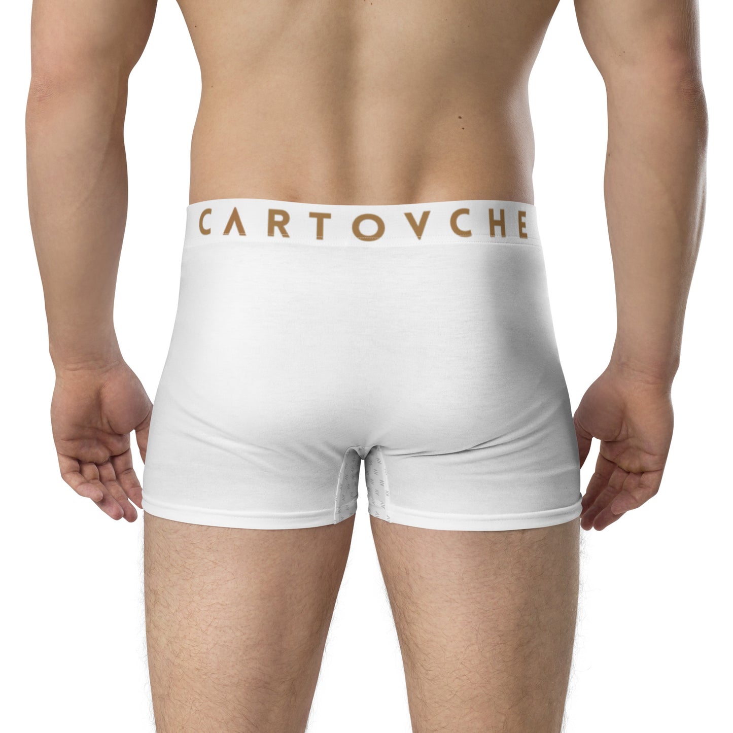 Cartovche Boxer Briefs (White)