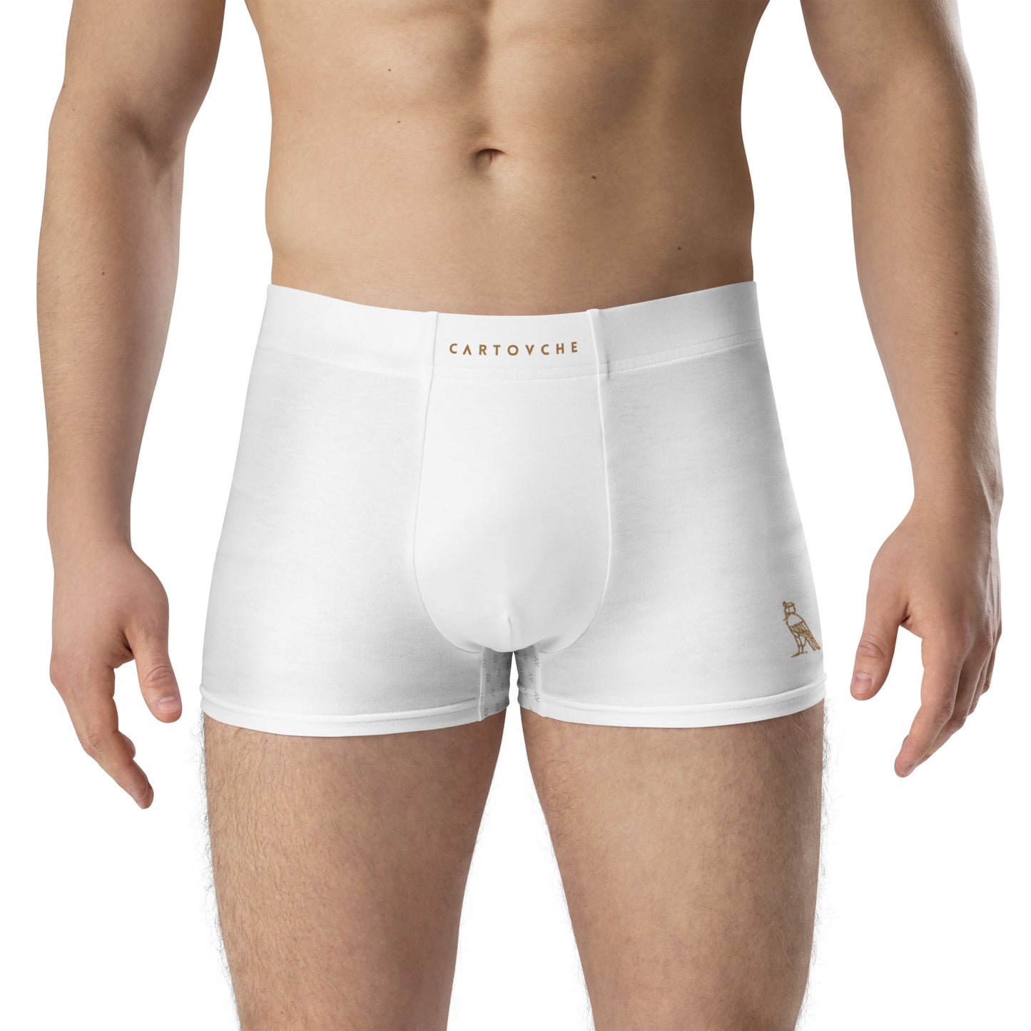 Cartovche Boxer Briefs (White)