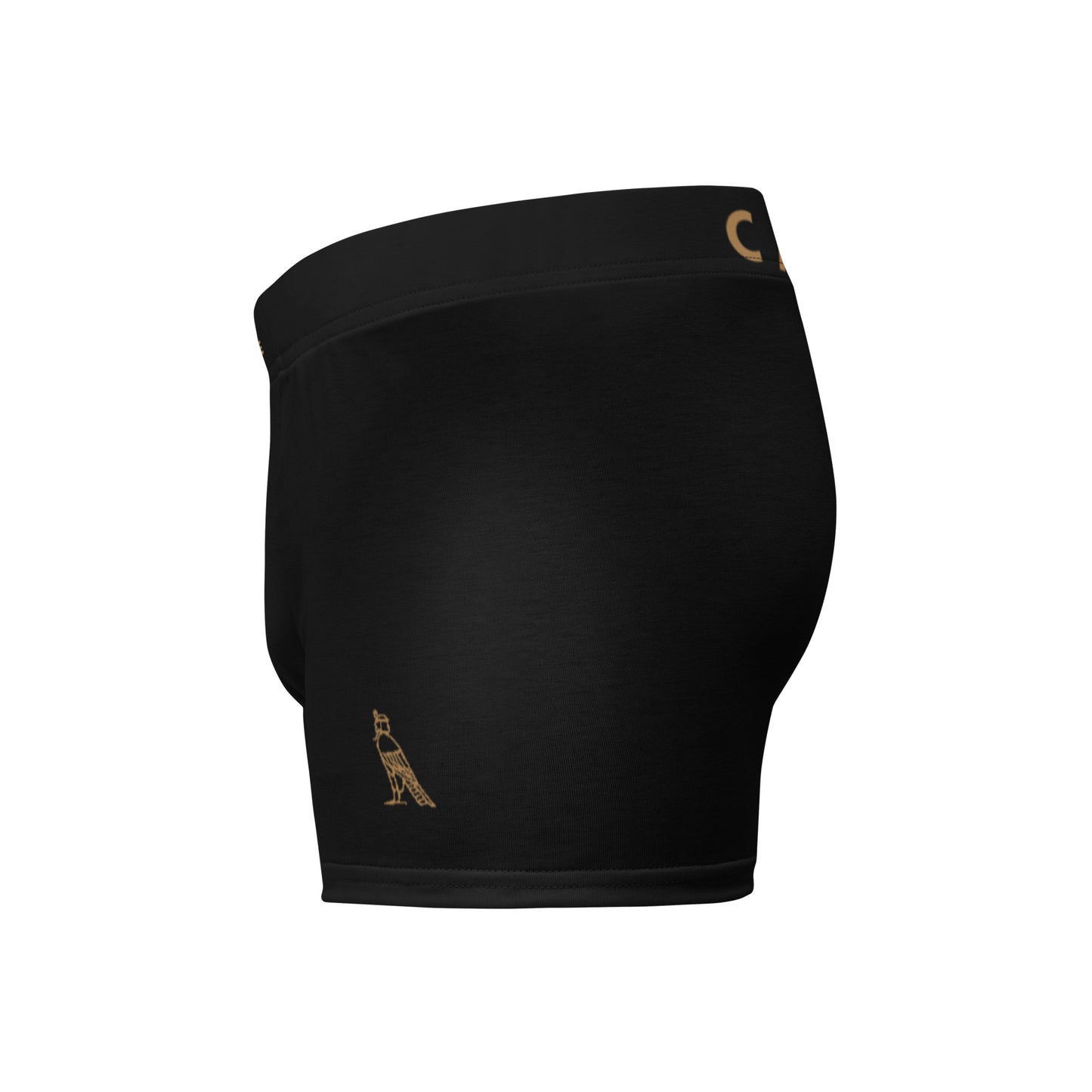 Cartovche Boxer Briefs (Black)