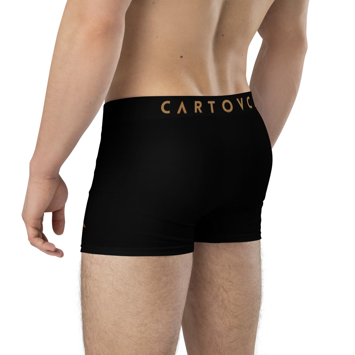Cartovche Boxer Briefs (Black)
