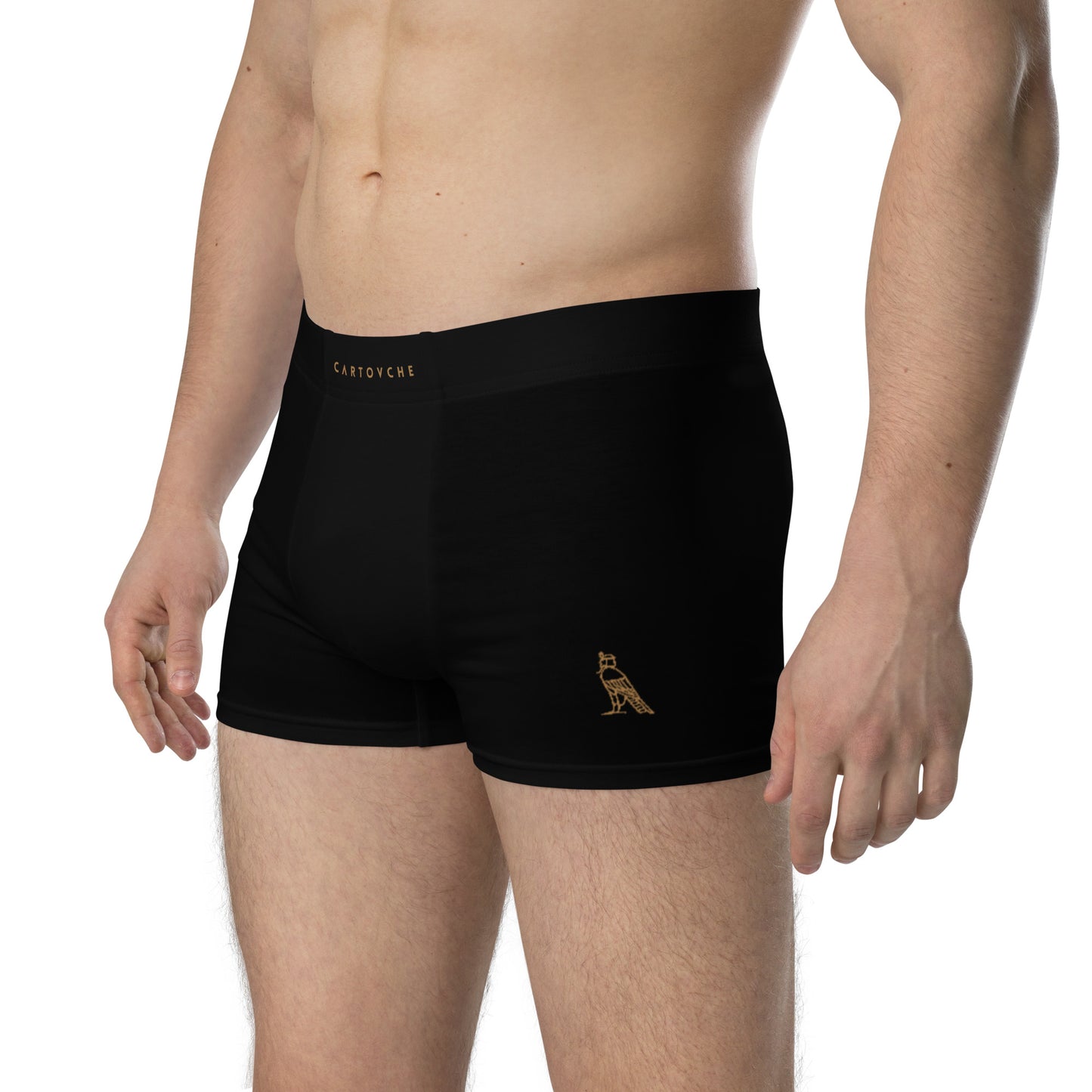 Cartovche Boxer Briefs (Black)