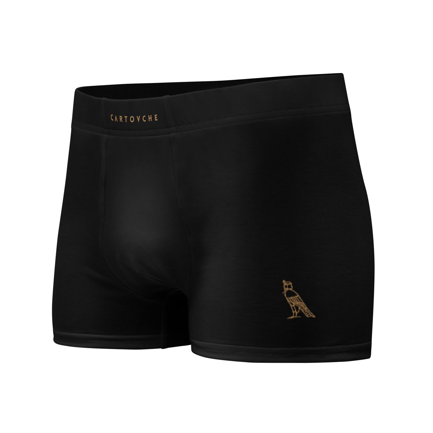 Cartovche Boxer Briefs (Black)