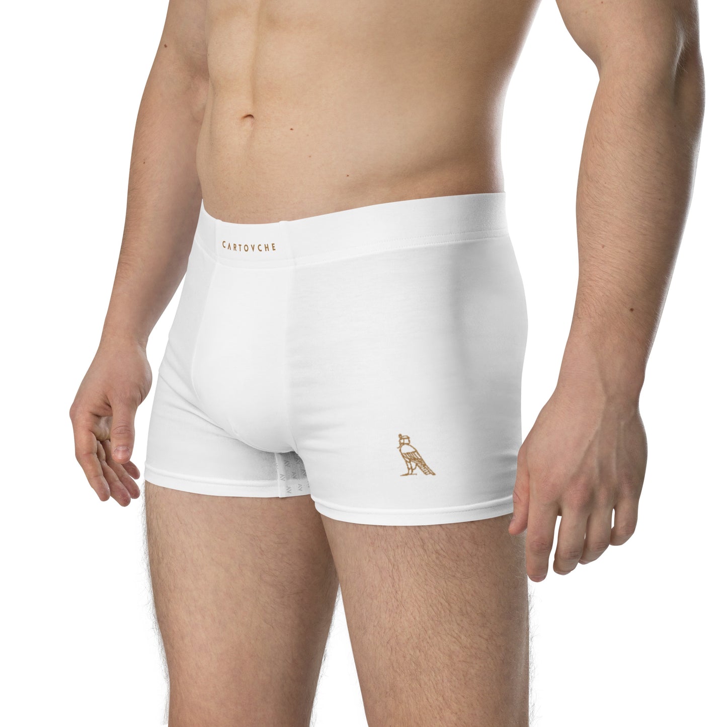 Cartovche Boxer Briefs (White)