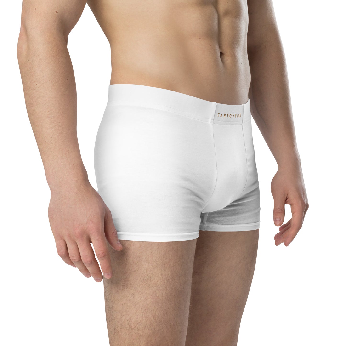 Cartovche Boxer Briefs (White)