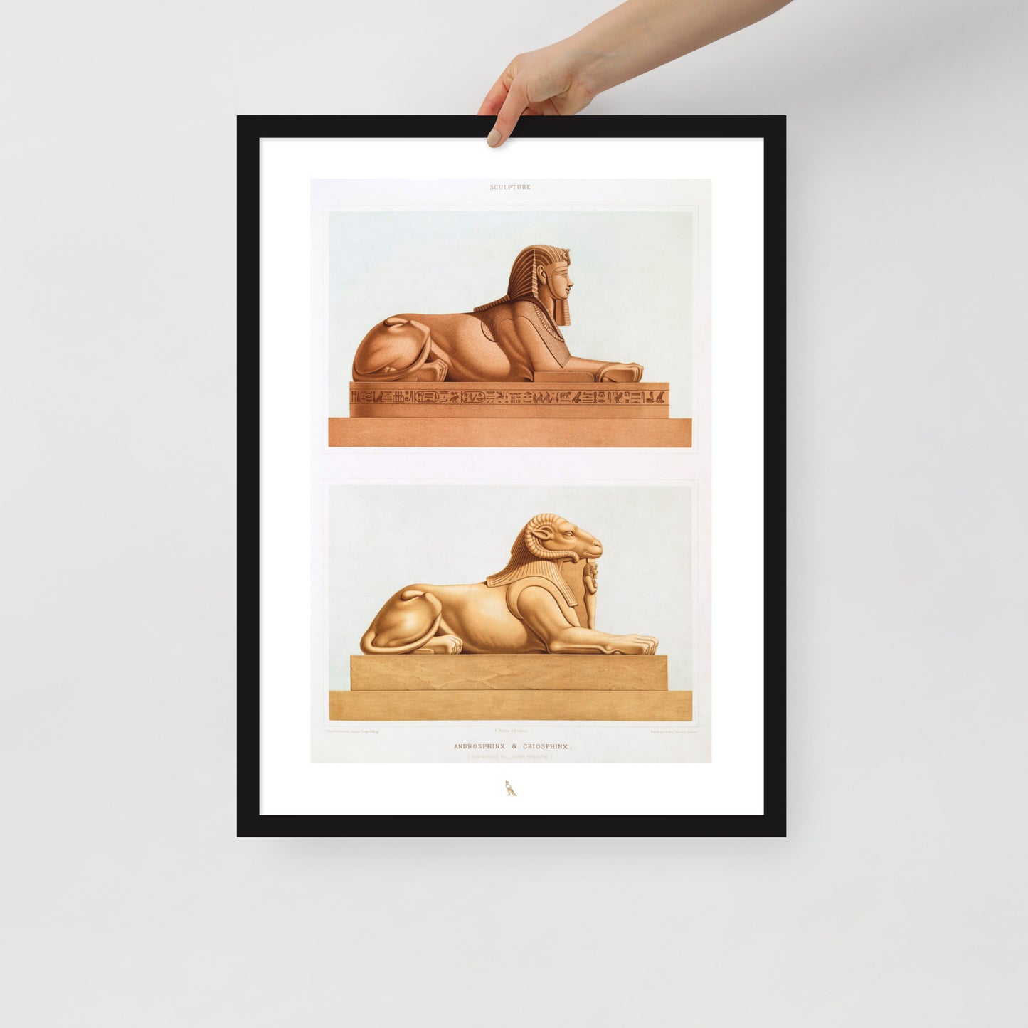 'Androsphinx & Criosphinx' | 18" x 24" Wood Framed Poster