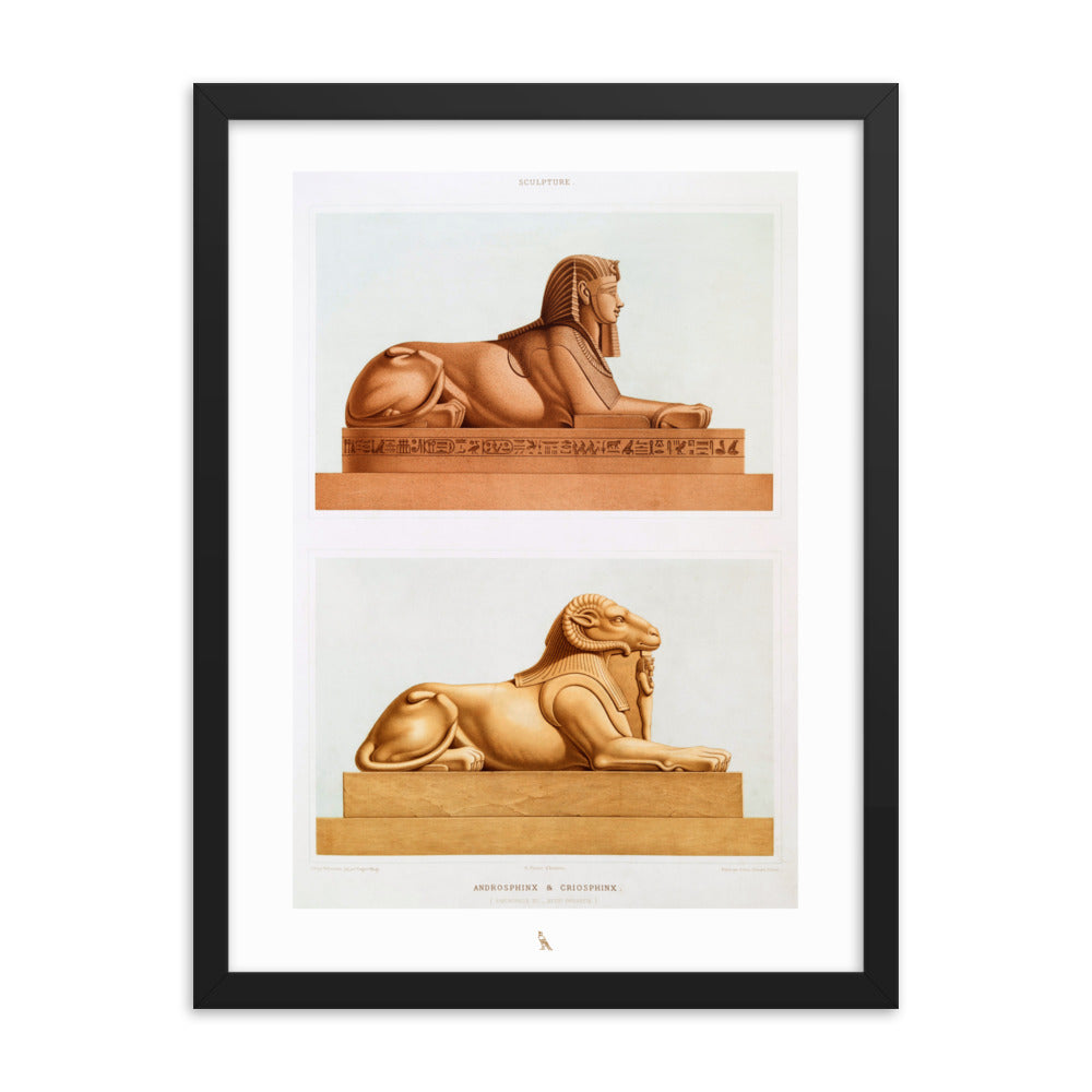 'Androsphinx & Criosphinx' | 18" x 24" Wood Framed Poster