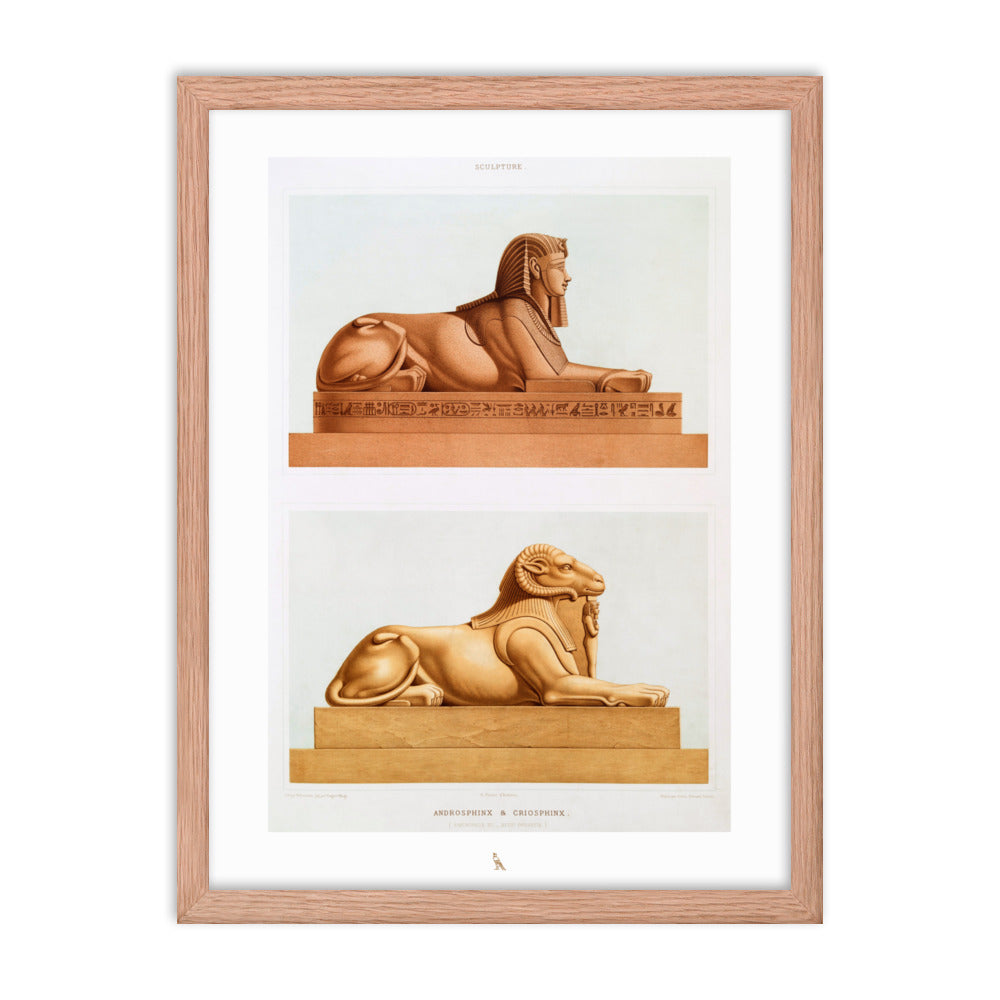 'Androsphinx & Criosphinx' | 18" x 24" Wood Framed Poster