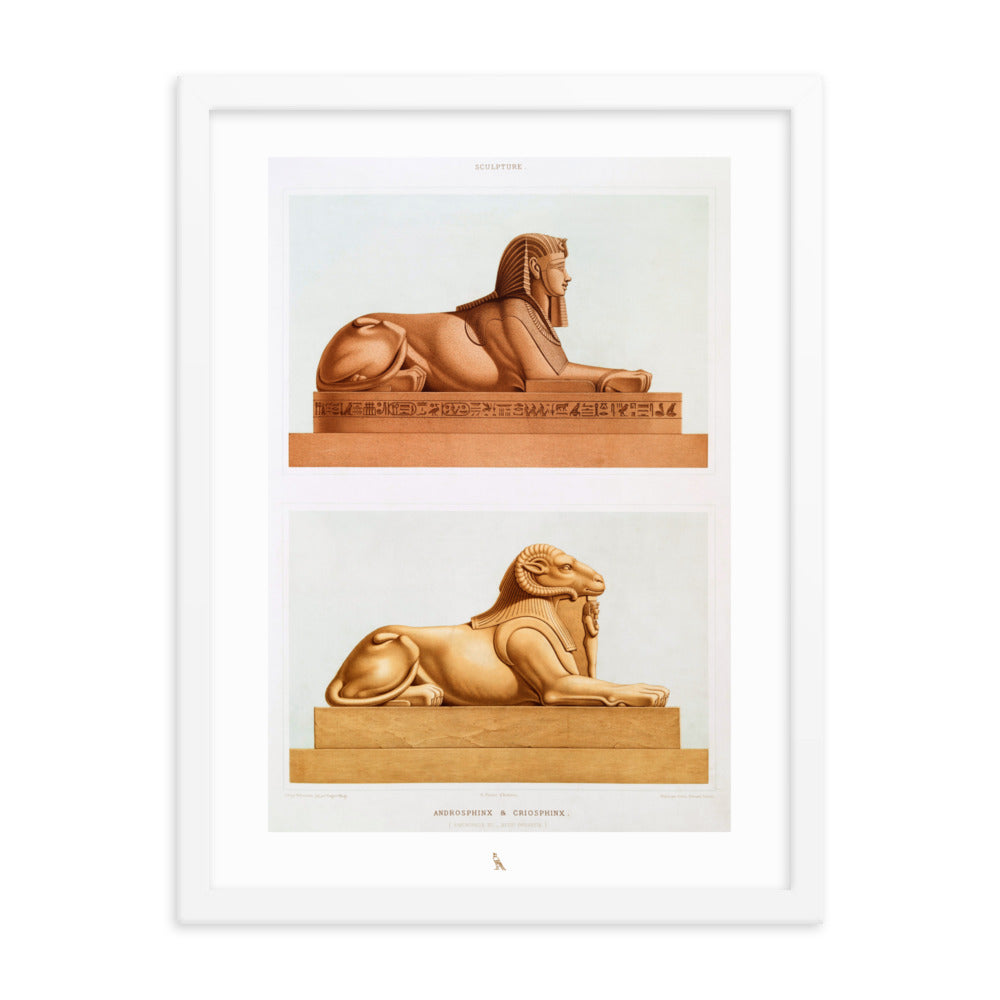 'Androsphinx & Criosphinx' | 18" x 24" Wood Framed Poster