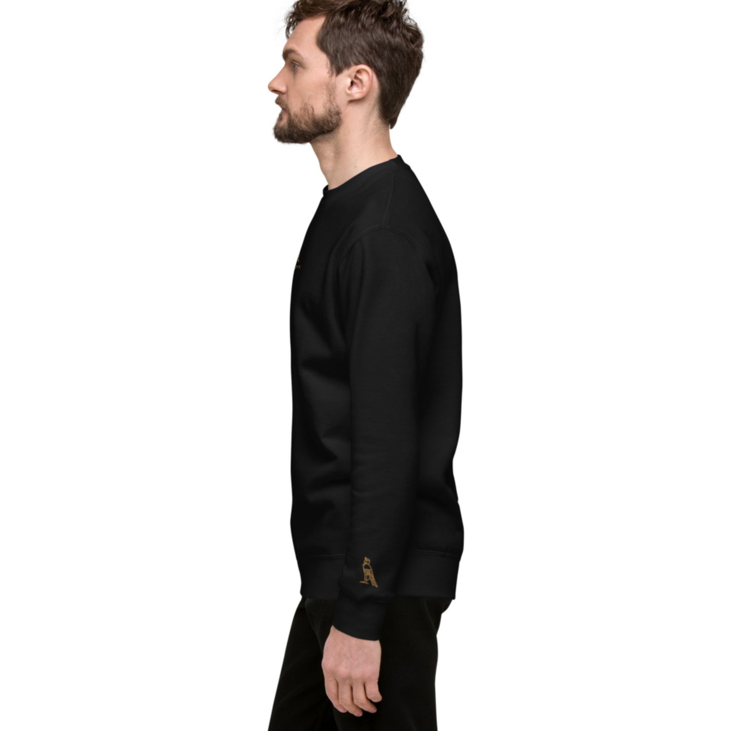 Men's Embroidered Cotton Sweatshirt