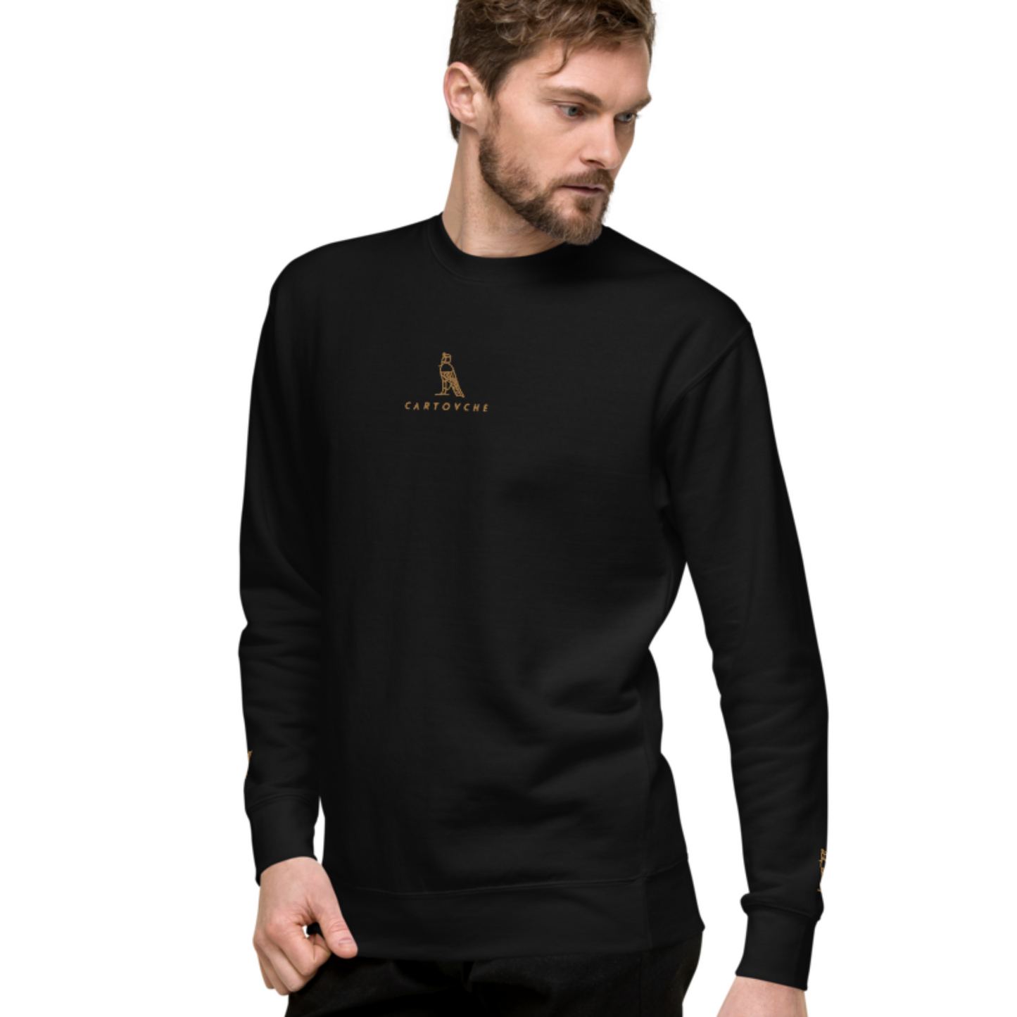 Men's Embroidered Cotton Sweatshirt