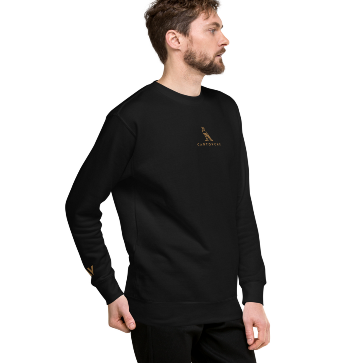 Men's Embroidered Cotton Sweatshirt