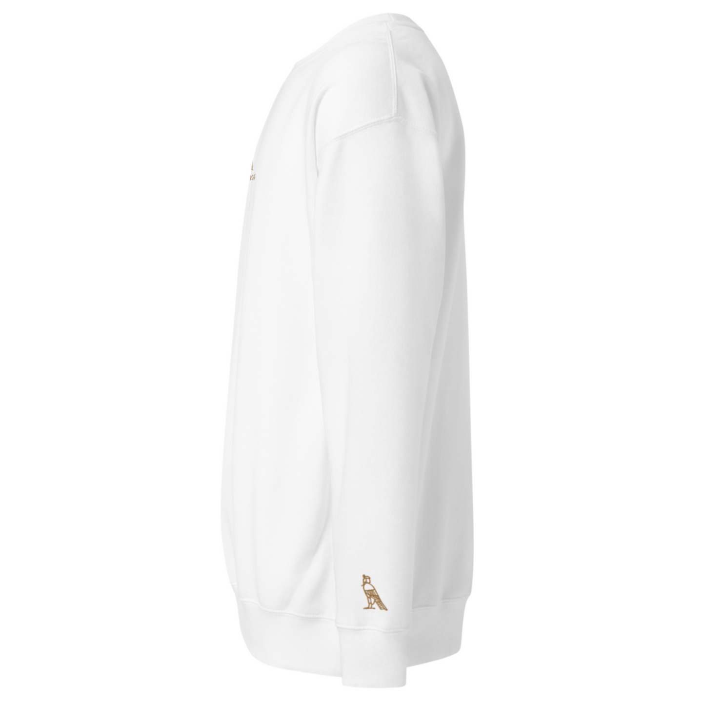 Men's Embroidered Cotton Sweatshirt