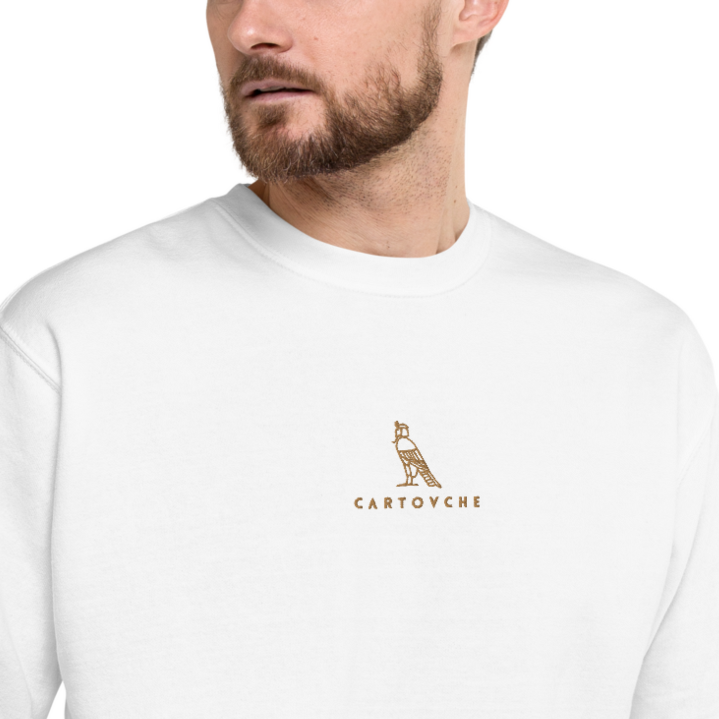 Men's Embroidered Cotton Sweatshirt